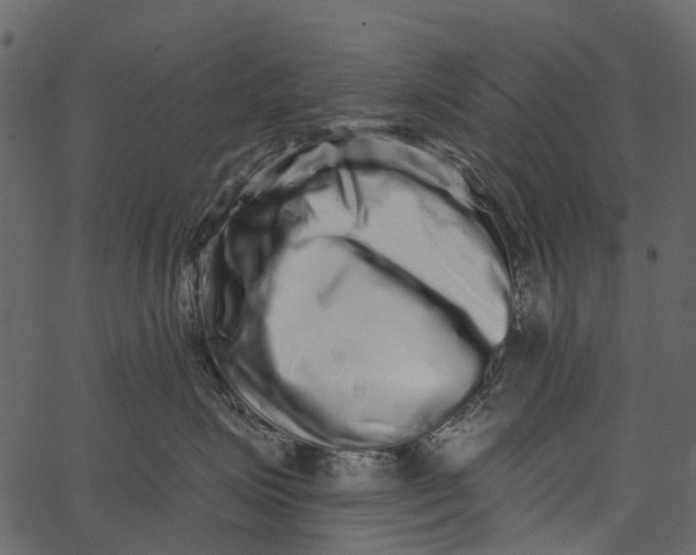 X0000062640623200601111127