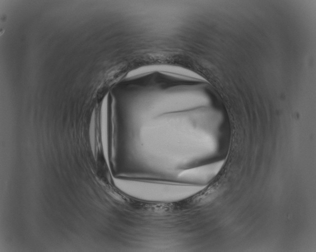 X0000062640624200601111127