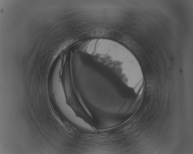 X0000062640626200601111126