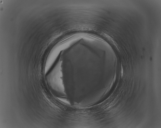 X0000062640627200601111126