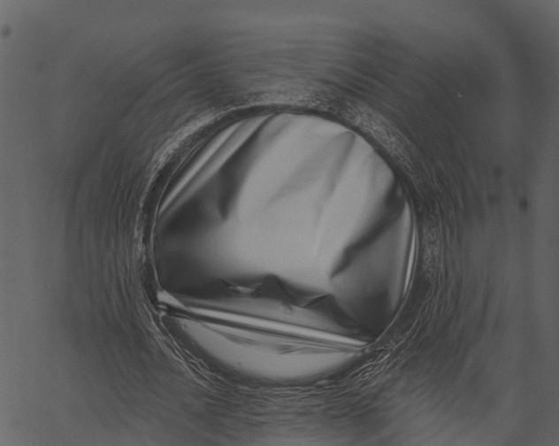 X0000062640628200601111126