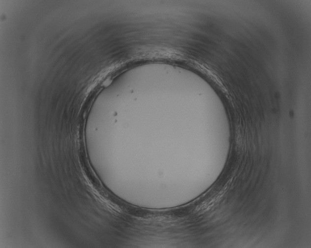 X0000062640629200601111127