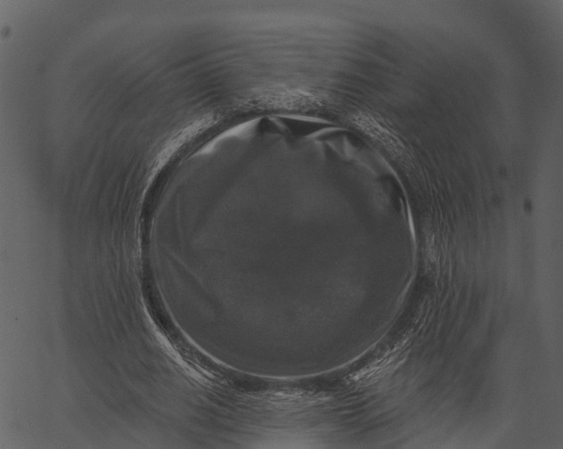 X0000062640630200601111127