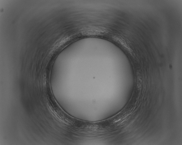 X0000062640631200601111127