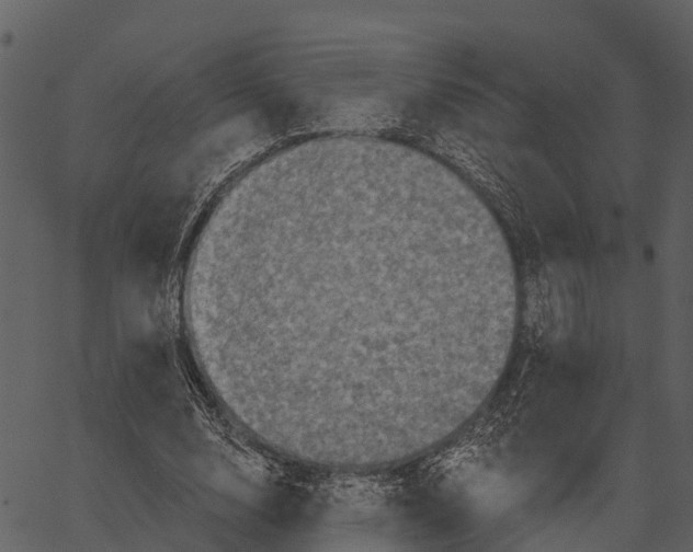 X0000062640632200601111127