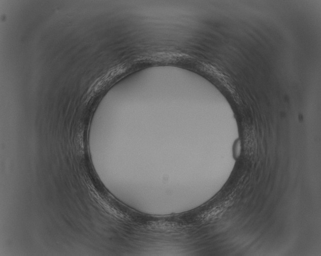 X0000062640633200601111127