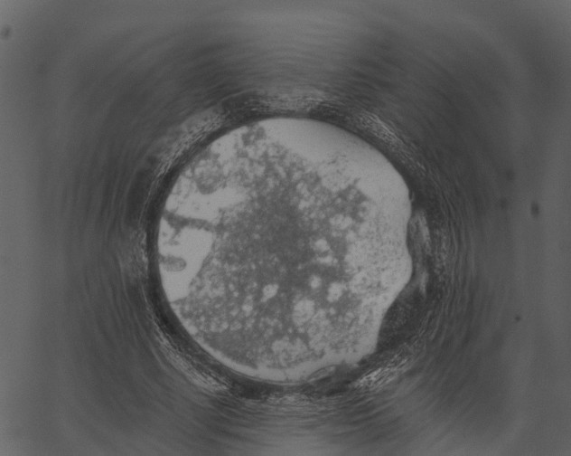 X0000062640634200601111127