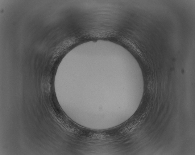 X0000062640635200601111127