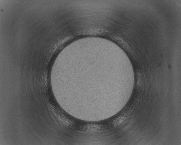 X0000062640636200601111127