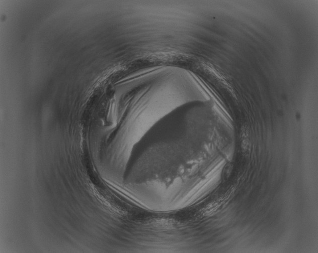 X0000062640637200601111127