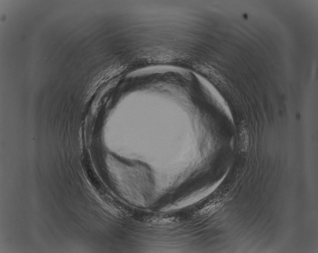 X0000062640638200601111127