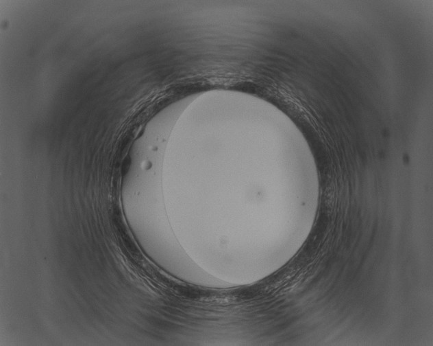 X0000062640639200601111127