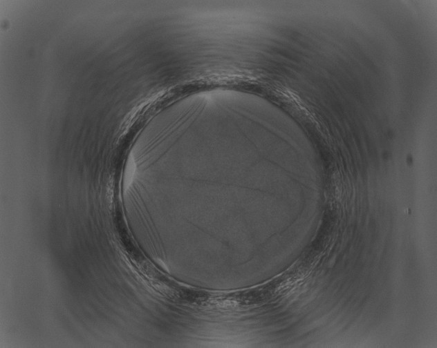 X0000062640640200601111127