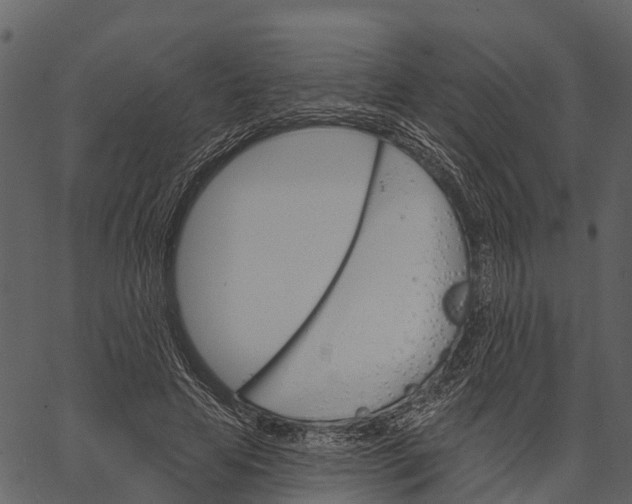 X0000062640641200601111127