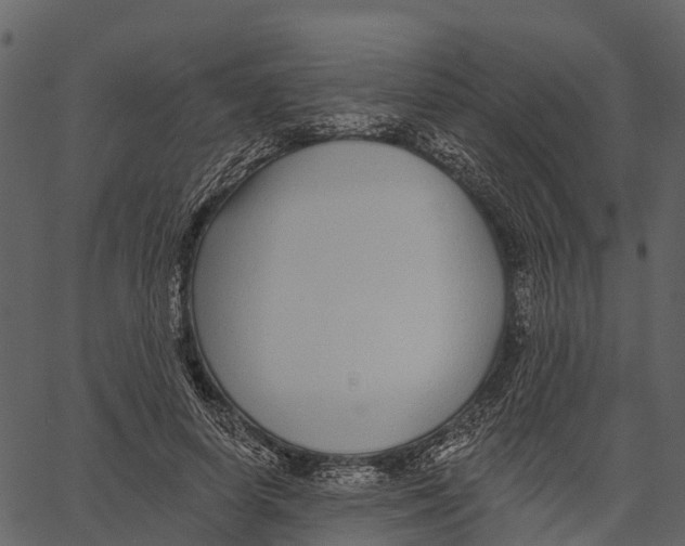 X0000062640642200601111127