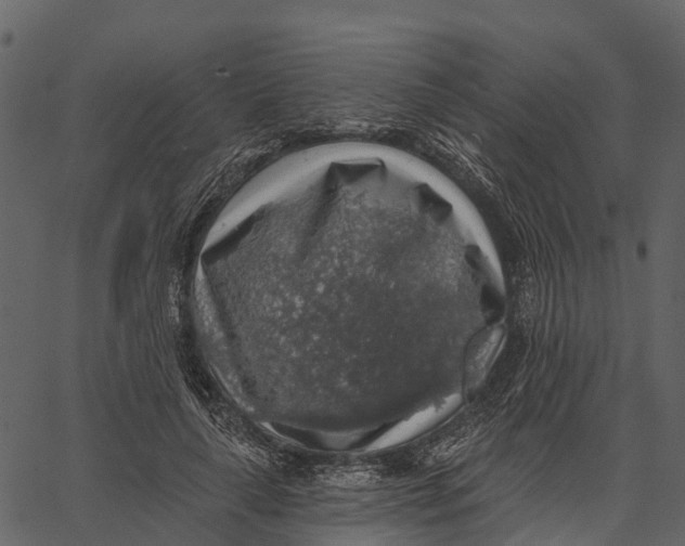 X0000062640643200601111127