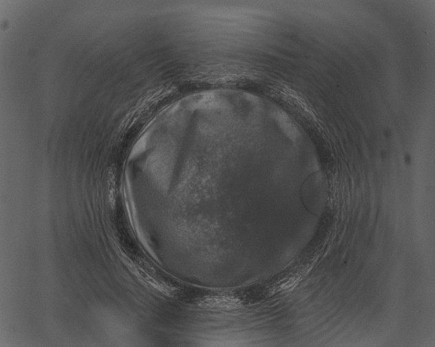 X0000062640644200601111127