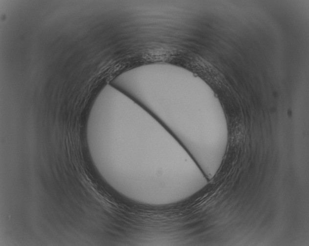 X0000062640647200601111127