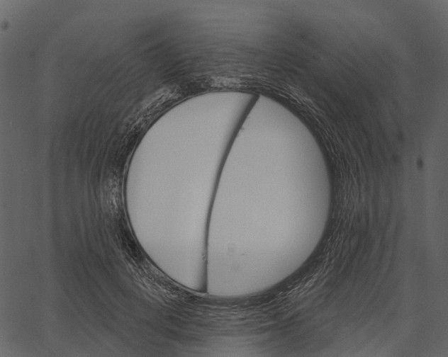 X0000062640648200601111127