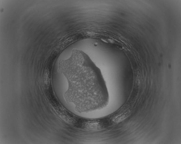 X0000062640651200601111127