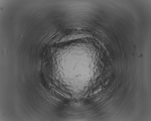 X0000062640652200601111127