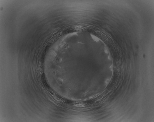 X0000062640653200601111127