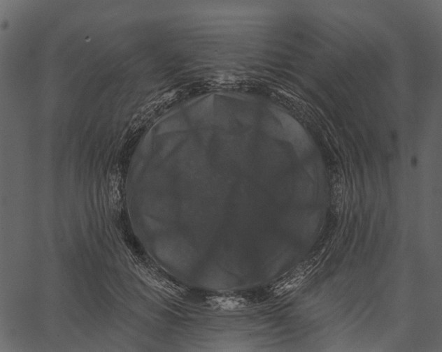 X0000062640654200601111127