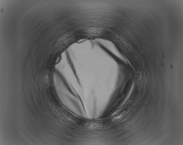 X0000062640655200601111127