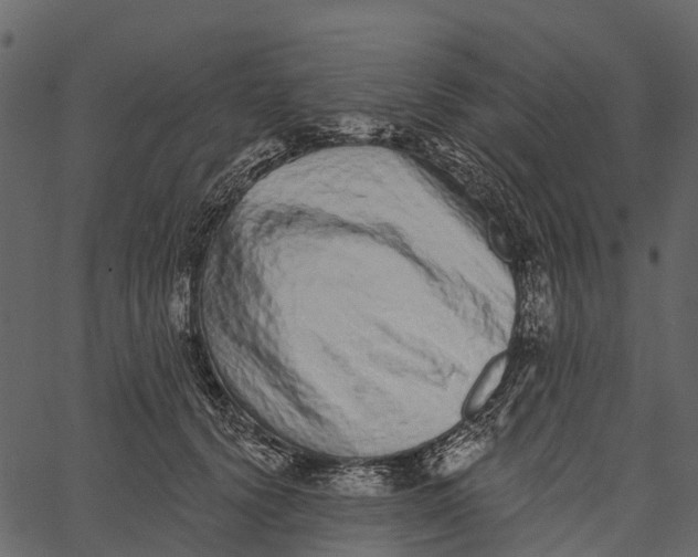 X0000062640656200601111127