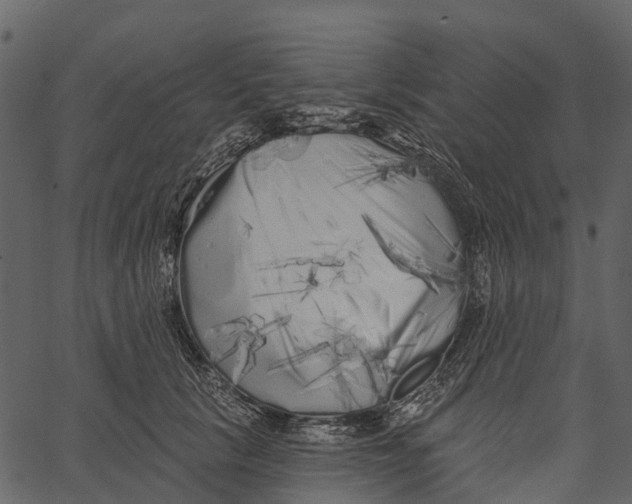 X0000062640657200601111127