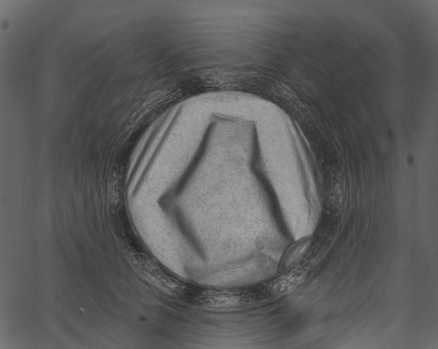 X0000062640658200601111127