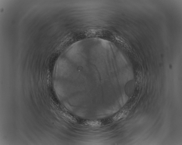 X0000062640659200601111127