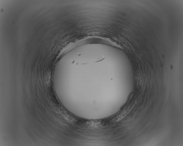 X0000062640660200601111127