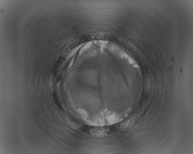 X0000062640661200601111127