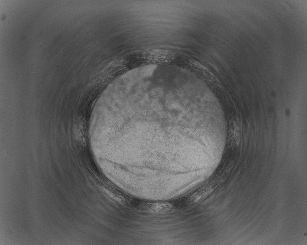 X0000062640663200601111127