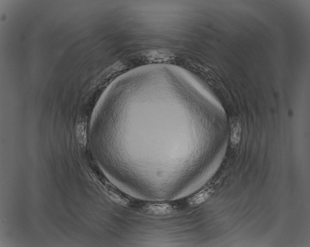 X0000062640666200601111127