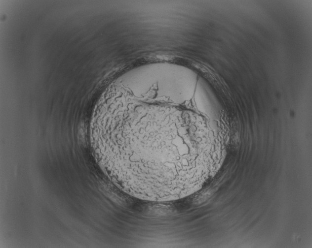 X0000062640669200601111127