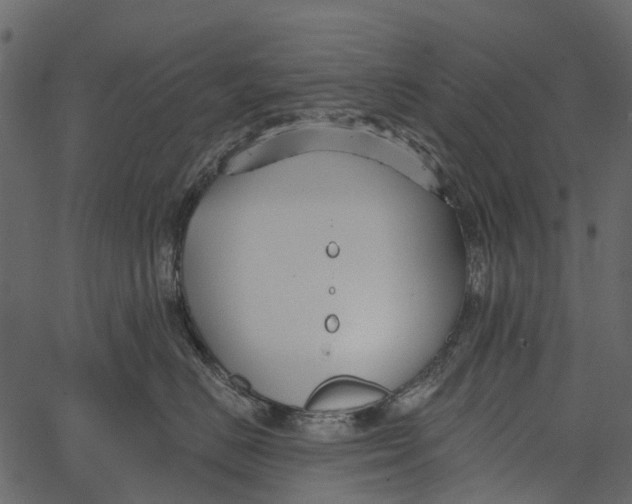 X0000062640670200601111127