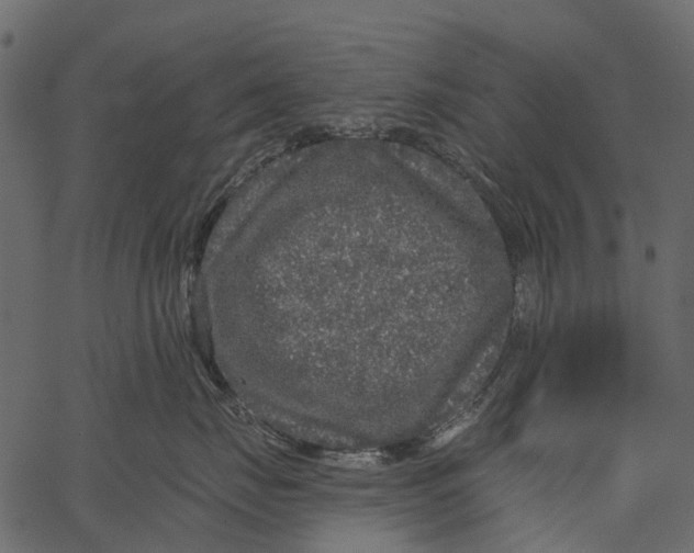 X0000062640671200601111127