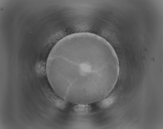 X0000062640672200601111127