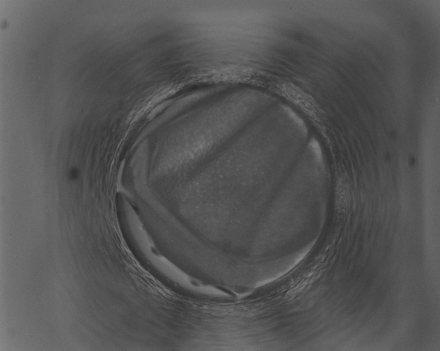 X0000062640673200601111126