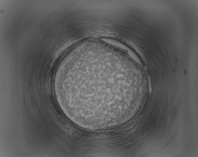 X0000062640675200601111126