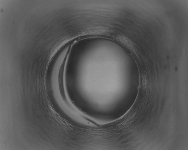 X0000062640676200601111126