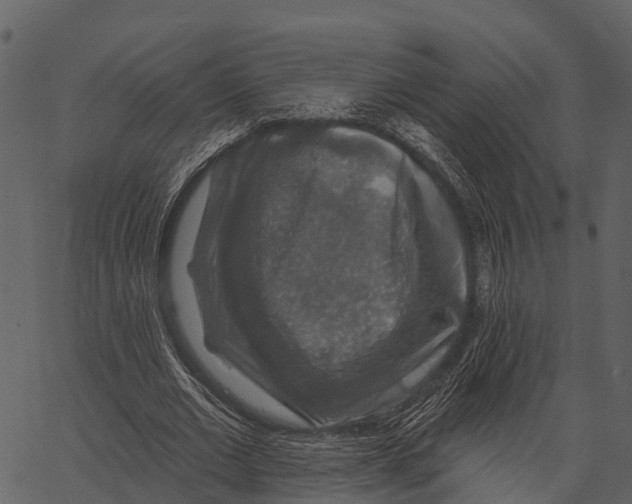 X0000062640677200601111126