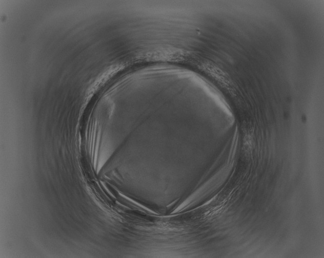 X0000062640678200601111126