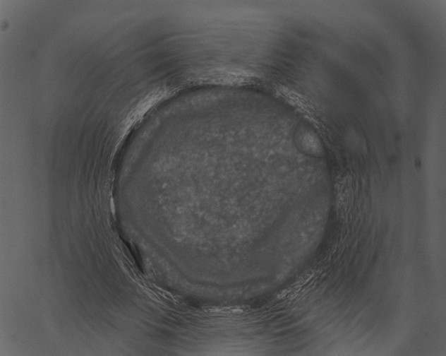 X0000062640679200601111126