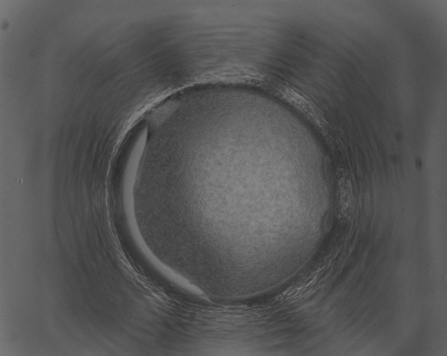 X0000062640680200601111126