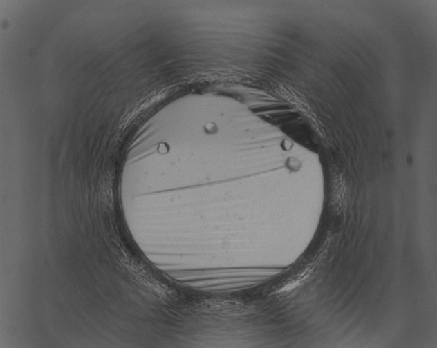 X0000062640681200601111126