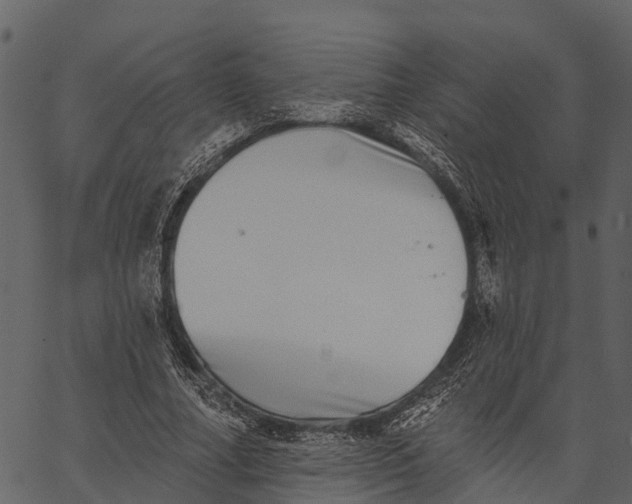 X0000062640682200601111126