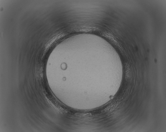 X0000062640683200601111126